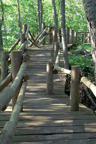 Augstrozes pilskalna taka