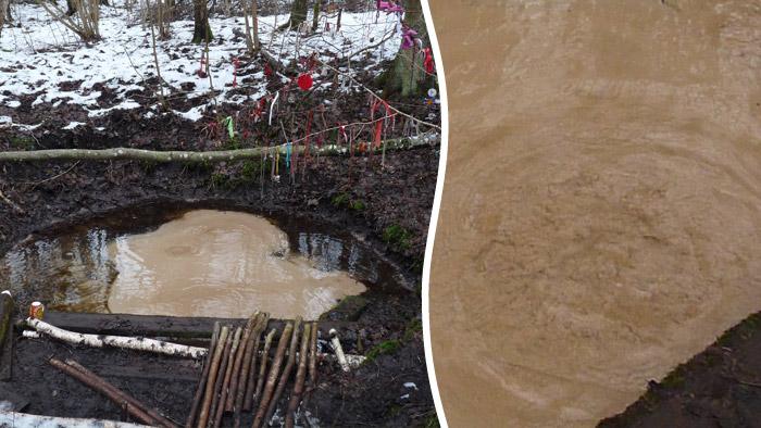 Baltavots un melnavots