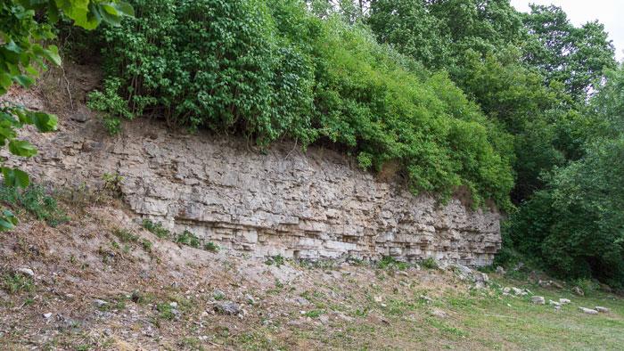 Dolesmuižas atsegums