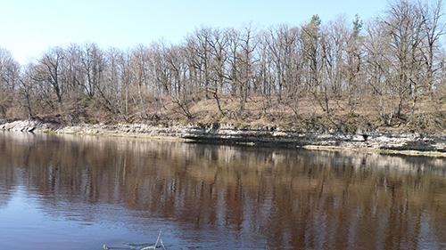 Jumpravas dolomīta atsegums