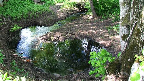 Klintaines sausgultne un karsta kritenes