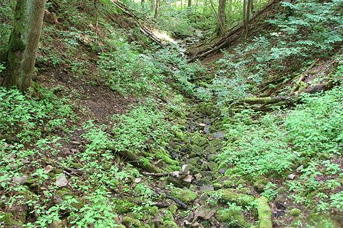 Korkuļu sausgultne un pazemes upe