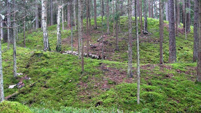 Stalidzānu Svilušā kalna taka