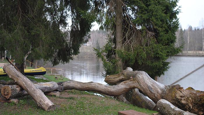 Gauja - Jaunzāģeru kempings