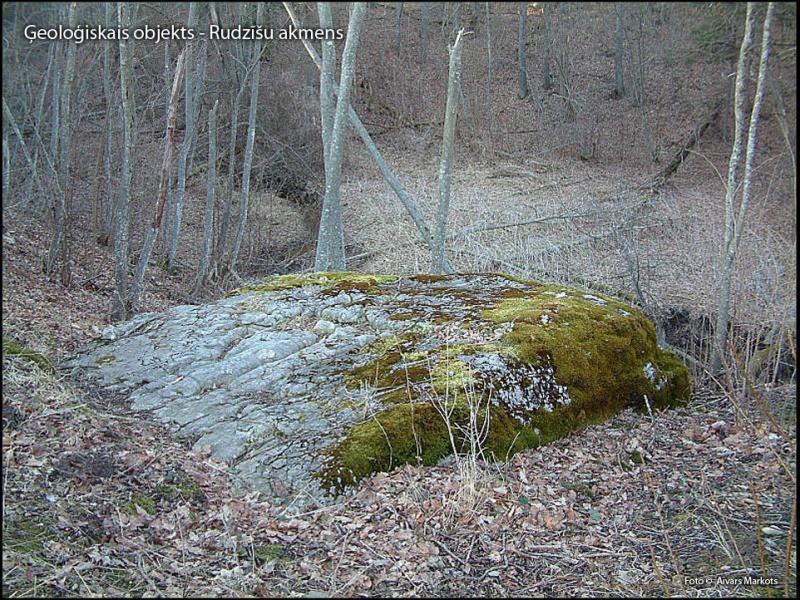 2012. gada dabas simboli