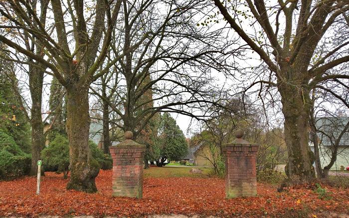 Stelpes “Iztekas” dendroloģiskie stādījumi