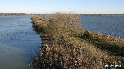 Skrundas zivju dīķi