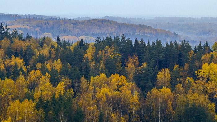 Krustkalnu dabas rezervāts