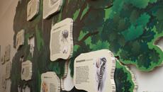 Pastāvīgās ekspozīcijas