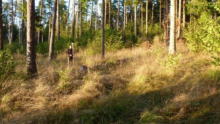 Baltijas Ledus ezera krasta valnis pie Rīvas