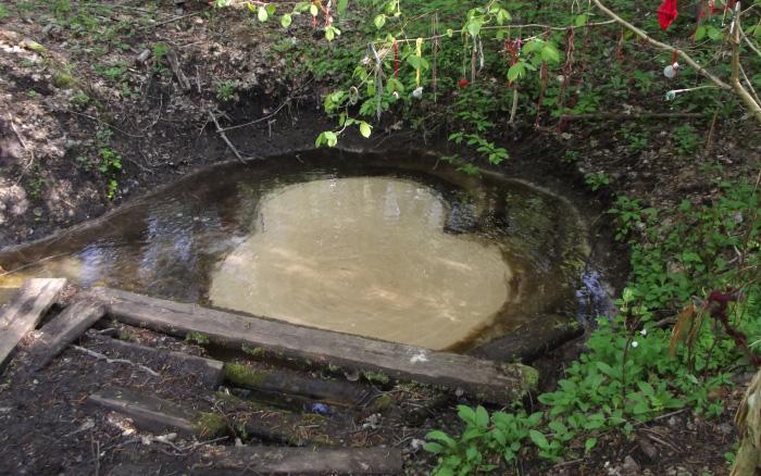 Baltavots un Melnavots