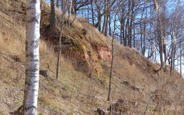 Burtnieka smilšakmens atsegumi