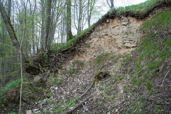 Cepļa dolomīta atsegums