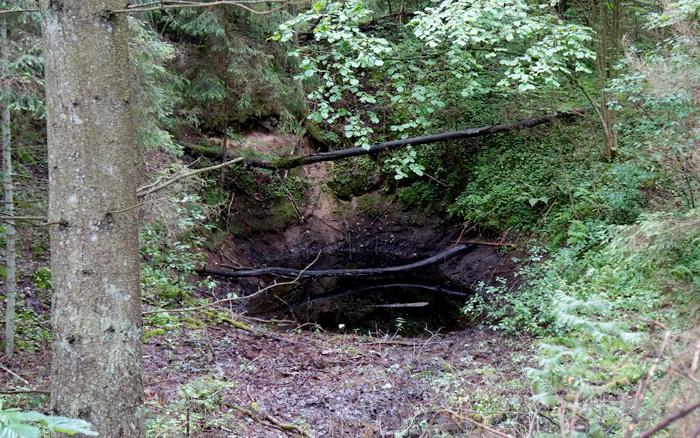 Skaistkalnes karsta kritenes