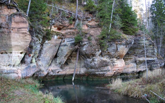 Vaives lejteces ieži