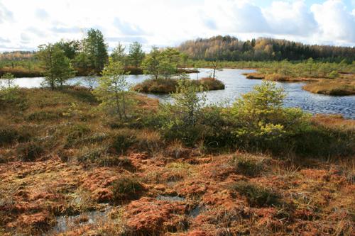 Ziemeļvidzemes biosfēras rezervāts