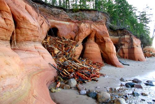 Ziemeļvidzemes biosfēras rezervāts