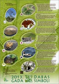 2013. gada dabas simboli