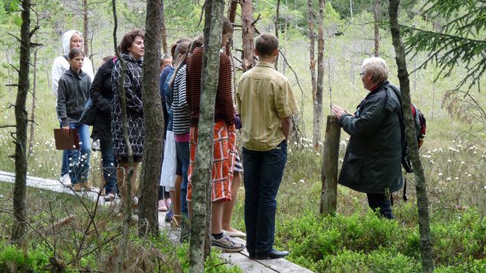 Andrupenes purva taka