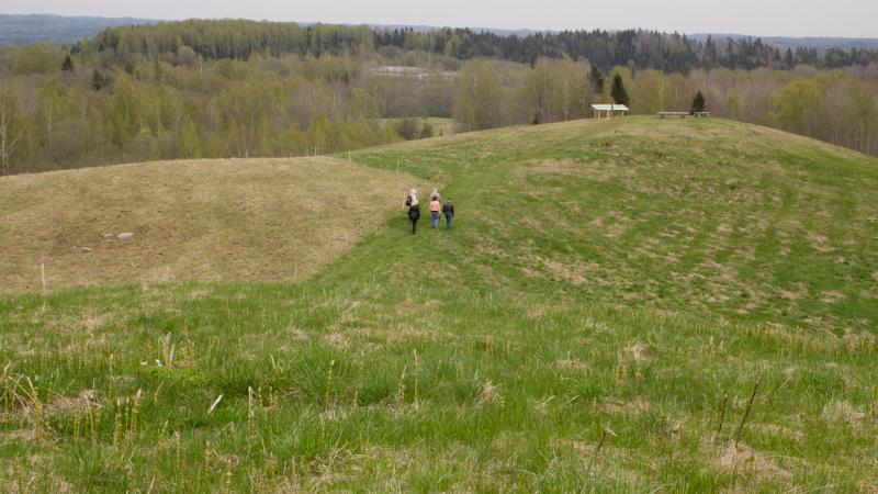 Drusku pilskalna taka