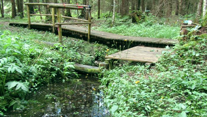 Ellītes sēravota taka