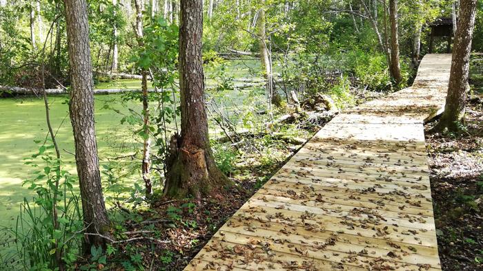 Jaundomes muižas taka