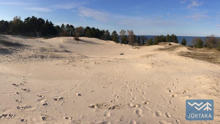 Jūrtaka 20. Engure - Ragaciems