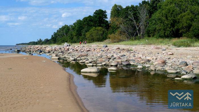 Jūrtaka 28. Lauči - Tūja