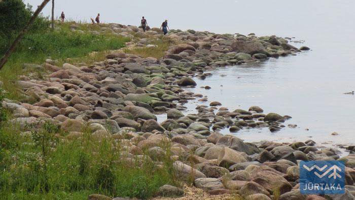 Jūrtaka 29. Tūja - Svētciems