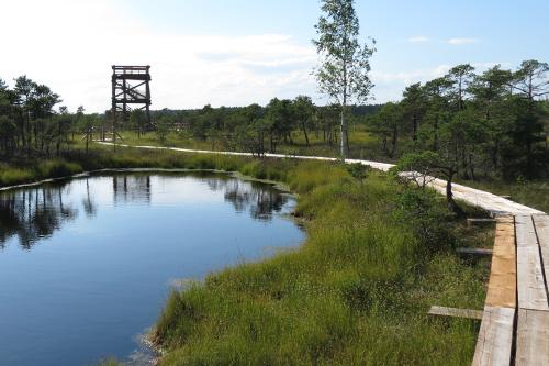 Lielā Ķemeru tīreļa laipa