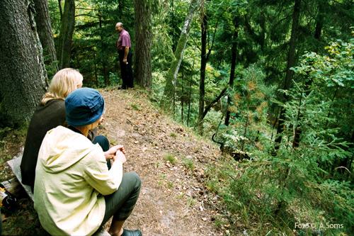 Ķirbižu meža taka