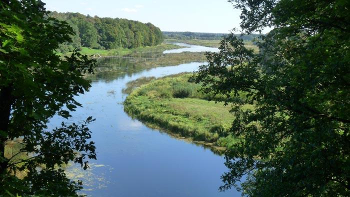 Mežotnes pilskalna taka