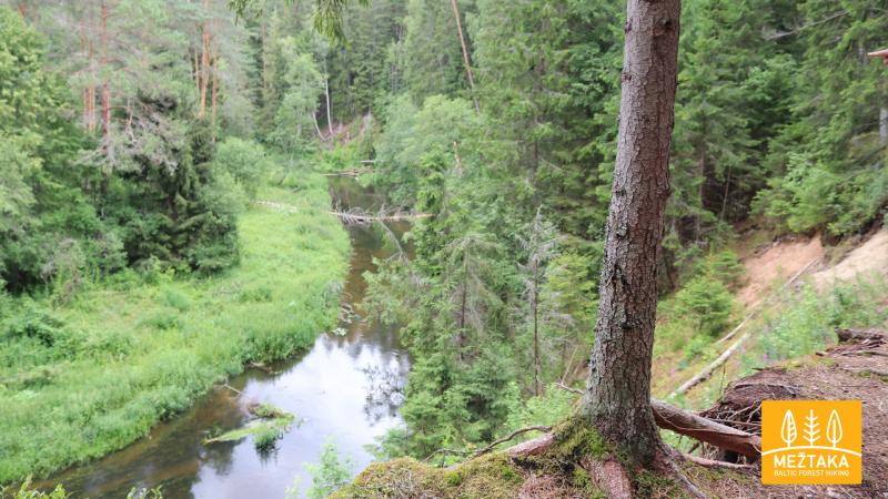 Mežtaka LV 09. Valmiera - Strenči