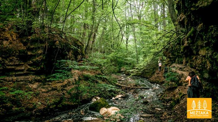 Mežtaka LV 13. Gaujiena - Trapene