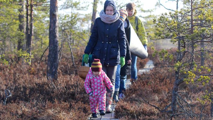 Niedrāju-Pilkas purva taka