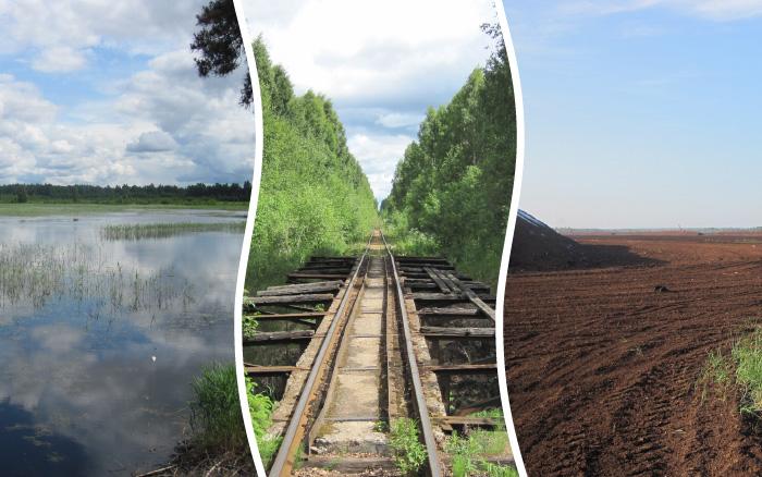 Sedas purva kājnieku maršruts