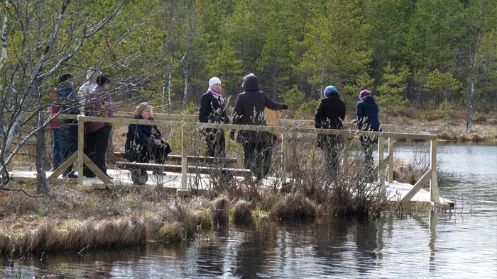 Teirumniku purva taka