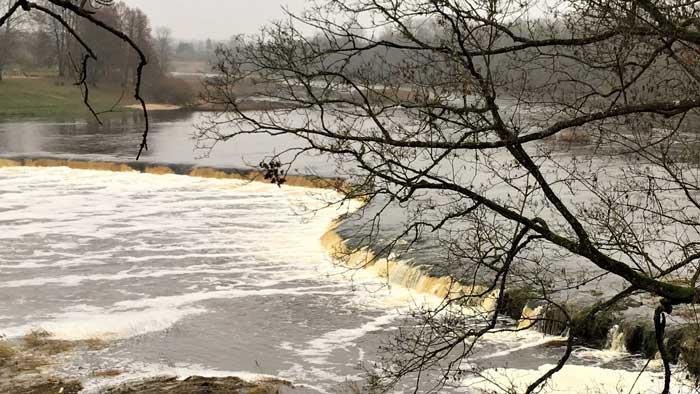 Ventas kreisā krasta taka