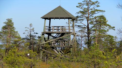 Cenas tīreļa tornis