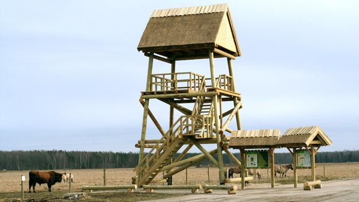 Dunduru pļavu tornis