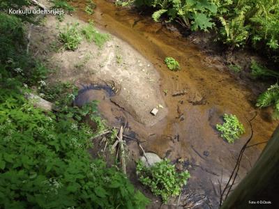 2014. gada dabas simboli