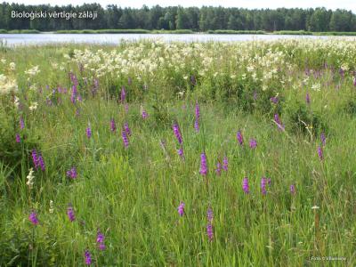 2015. gada dabas simboli