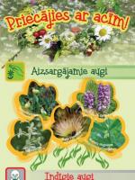 Priecājies ar acīm