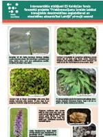 Interesantākie atklājumi "Dabas skaitīšanas" projekta pirmajā sezonā, 2017