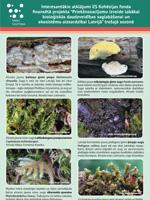 Interesantākie atklājumi "Dabas skaitīšanas" projekta otrajā sezonā, 2019