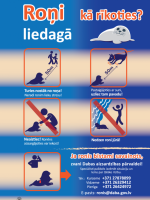 Liedagā pamanīts roņu mazulis. Kā rīkoties?