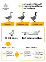 Atļauja migrējošo putnu atbaidīšanai ar šaušanu